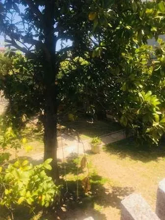 Verde Magnolia * Ortona